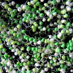 Украшения из бисера